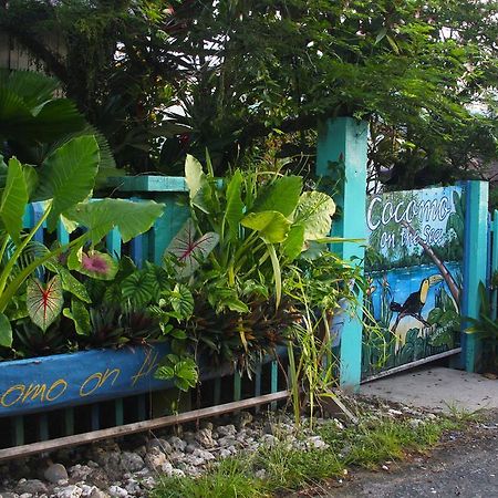 Cocomo On The Sea Bed and Breakfast Bocas del Toro Eksteriør billede