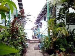 Cocomo On The Sea Bed and Breakfast Bocas del Toro Eksteriør billede